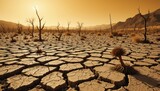 A barren landscape ravaged by a severe drought, with cracked earth and wilting plants, under a scorching sun.