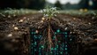 © Shahid - Smart networks analyze soil microbial activity and organic matter levels, enabling AI to optimize nutrient cycling and support robust root system development in natural ecosystems.