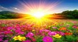 © prompt - Vibrant flower field bathed in sunrise glory