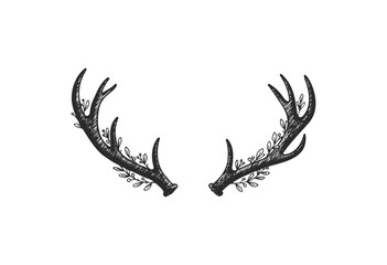 Wall Mural - detailed hand-drawn antlers with delicate leaf accents - stock vector