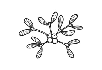 Wall Mural - black and white mistletoe drawing with berries and leaves - stock vector