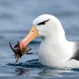 160_f_1711674121_61l3qwlargy9ggsqyc1gwb9ztyntcwjm