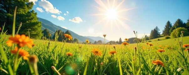 Wall Mural - Sunbeams illuminate a vibrant landscape, highlighting lush green grass and bright wildflowers under a clear blue sky  Golden hour light creates a warm, inviting atmosphere ,  vegetation,  ray