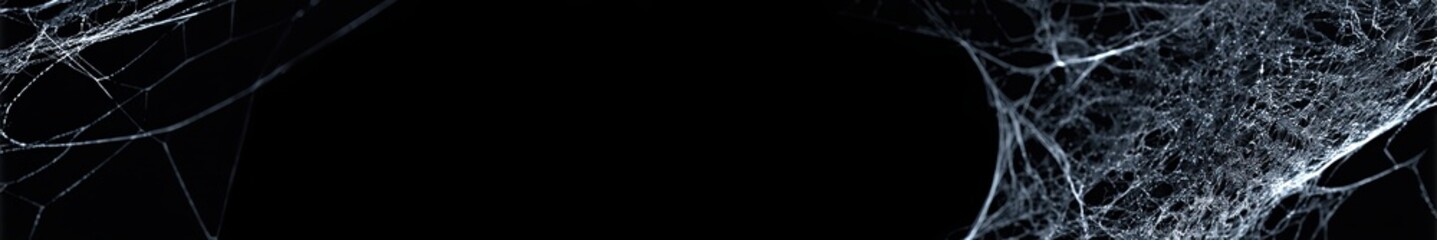 Close up of intricate dusty spiderweb on a black background, suggesting Halloween decoration or spooky atmosphere.