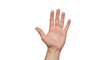 © Andrei - Isolated palm of a human hand facing forward, showcasing a stop or high five gesture