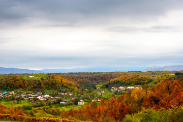 Wall Mural - autumn landscape in mountains with village in the valley. overcast morning sky over carpathian countryside in fall season. beautiful location with colorful forest