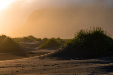 Wall Mural - Sand dune with warm sunset light.