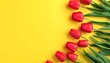 © Yohan - Red tulips arranged in a semicircle on a yellow background