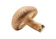 © Mia - Isolated shiitake mushroom, a delicious, wholesome and nutritious ingredient for healthy cooking