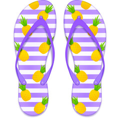 flip flops vector illustration