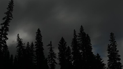 Wall Mural - Time lapse of dark storm clouds about a forest of silhouetted spruce trees
