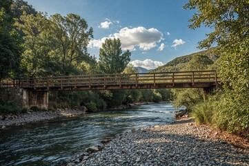 Wall Mural - rustic wooden bridge spanning a flowing river