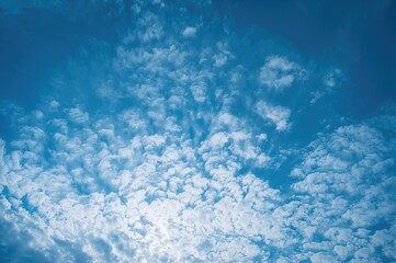 Wall Mural - A summer sky adorned with drifting white clouds merges seamlessly with natural splendor, bathed in gentle sunlight.