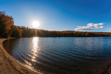 Wall Mural - autumn scenery with sunlight shimmering on a lake surface