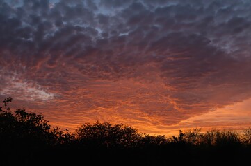 Wall Mural - evening sky aglow with vibrant clouds and warm hues, reflecting over a peaceful forest at dawn