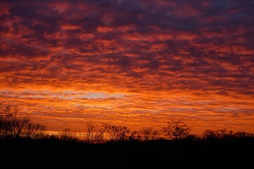 Wall Mural - evening twilight painted with vibrant shades of orange, purple, and deep blue during autumn