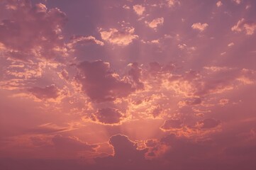 Wall Mural - Radiant light beams cutting through fluffy clouds. Vivid hues. A stunning twilight scene. Shades of pink and gold filling the atmosphere. Artistic sky backdrop