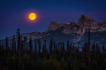 Wall Mural - The night sky with a glowing full moon