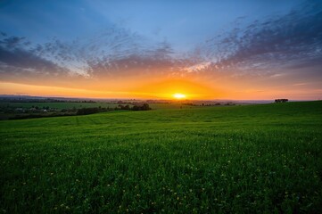 Wall Mural - gorgeous evening sky above a lush meadow