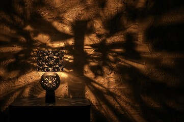 Wall Mural - Nighttime scene with striking lamp illumination casting elegant shadows on the wall