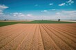 © TheWaterMeloonProjec - Bird's-eye view of farmland with crops and natural scenery across seasons