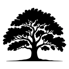 Silhouette of a large oak tree with a full canopy