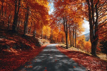 Wall Mural - Beautiful sunny autumn landscape with fallen dry red leaves, road through the forest and yellow trees. High quality