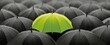 © Gelas - A single vibrant green umbrella stands out amongst numerous rain-soaked black umbrellas