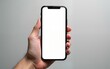 © Susan - Person holding smartphone with blank screen for mobile mockups. High quality