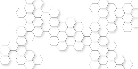 Canvas Print - Minimalist hexagon display with round platform white hexagon pattern background, honeycomb white mosaic cell web light and shadow texture design, elegant pattern of modern hexagon tiles.