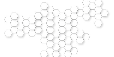 Canvas Print - Minimalist hexagon display with round platform white hexagon pattern background, honeycomb white mosaic cell web light and shadow texture design, elegant pattern of modern hexagon tiles.