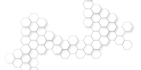 Canvas Print - Abstract minimal with white lines hexagonal structure futuristic white background, white geometric hexagonal honeycomb shape texture, geometric elegance showcasing a meticulously arranged pattern.