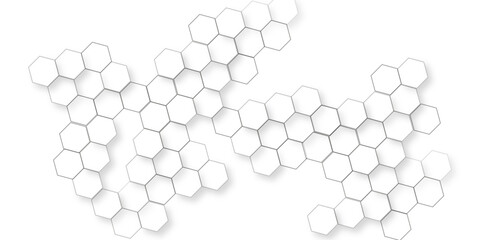 Canvas Print - Abstract minimal with white lines hexagonal structure futuristic white background, white geometric hexagonal honeycomb shape texture, geometric elegance showcasing a meticulously arranged pattern.