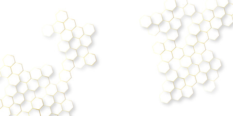 Canvas Print - abstract modern vector polygonal pattern, abstract white hexagon concept background soft white background, seamless bright white abstract honeycomb background.