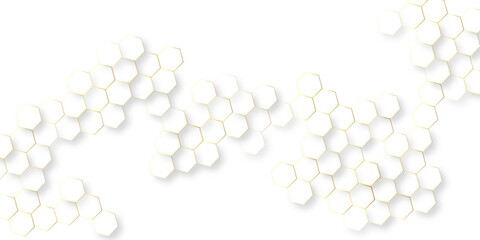 Canvas Print - abstract modern vector polygonal pattern, abstract white hexagon concept background soft white background, seamless bright white abstract honeycomb background.