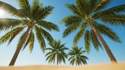 Wall Mural - Tropical Beach Paradise Under Palm Trees - Low-angle view of lush green palm trees on a sunny beach, their fronds reaching towards a clear blue sky.