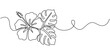 © Saheda - Hibiscus flower in one line art drawing style. Vector illustration, Hibiscus flower in one continuous line drawing. One Line Drawing of Hibiscus Flower, Minimal Botanical Vector Illustration