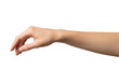 © SuperImages - A female Person's Arm and Hand with Fingers Slightly Curled, Against a White Background