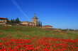 Ciudad Rodrigo, Salamanca District, Extremadura, Castilla y Leon, Spain. The Baroque and Romantic style Cathedral. Viewed from beyond the city walls. poppy field in foreground.