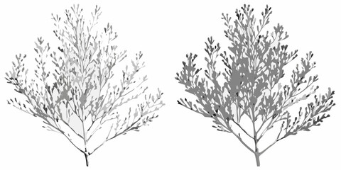 Two grayscale trees with intricate branches and small leaves against a white background showing detail 100 | editable eps vectors silhouette