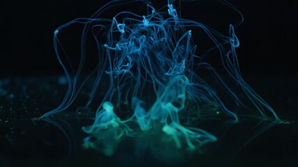 Wall Mural - a seamlessly looping video featuring abstract, bioluminescent tendrils of light slowly weaving throu