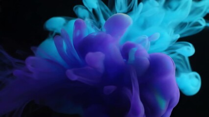 Wall Mural - abstract energy fields of deep purple and cyan interacting and expanding, seamless loop ethereal, sc