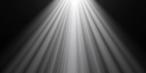 Wall Mural - Abstract background of radiating monochrome light rays,  texture,  pattern
