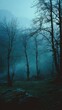 © tsamaaniyy - A misty, twilight scene in a forest. Bare, dark trees stand against a hazy, bluish backdrop.  The foreground shows a slightly blurred grassy area. The overall mood is serene yet mysterious