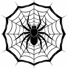 spider on web