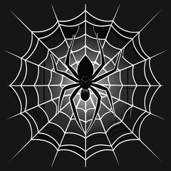 spider on web