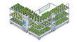 © Silent Vector - Isometric vector illustration of indoor hydroponic farm with diverse vegetation for agricultural design