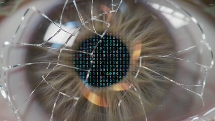 Cracked Reality A Digital Eye View of Surveillance