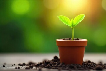 Wall Mural - a tiny potted seedling sprouts vibrant green leaves, reaching towards sunlight in a terracotta pot p