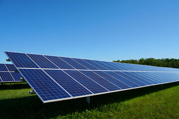 Expansive solar panel array captures abundant sunlight on a clear day with blue sky